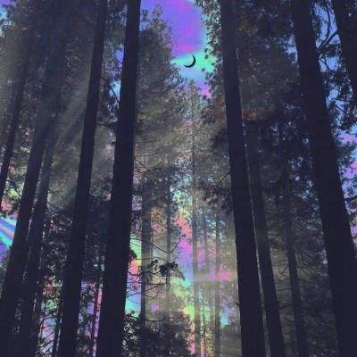 亚搏全站APP官网下载