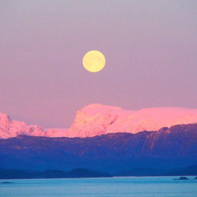 m6米乐网页版登录入口app下载