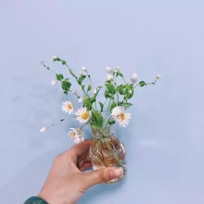 经典牛牛手机app下载