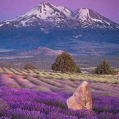 乐鱼官网手机版下载手机版